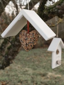 DIY: Vogelhäuschen selber machen