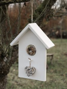DIY: Vogelhäuschen selber machen