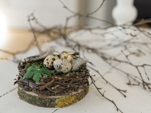 DIY Idee, Nest auf einer Holzscheibe für deine Frühlingsdeko