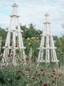 DIY Rankgerüst für Rosen und Kletterpflanzen selber machen